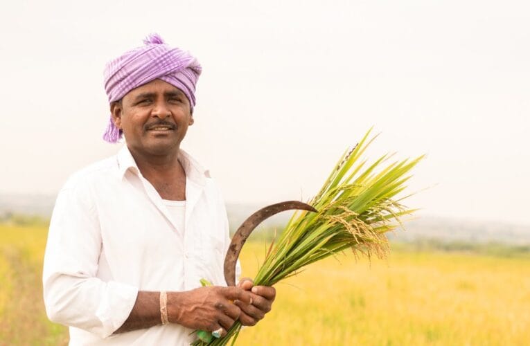 Mahadbt Seed Subsidy, अनुदानित बियाण्यांसाठी नवीन अर्ज सुरू, येथे अर्ज करा