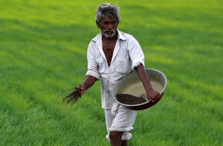 ई-पीक पाहणी लाभार्थी यादी जाहीर! शेतकऱ्यांना मिळणार हेक्टरी 25,000 रुपये